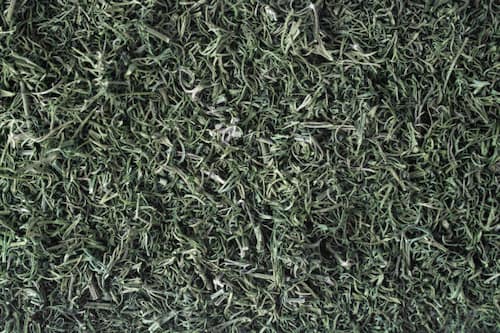 ترخون خشک با رنگ سبز زنده و کیفیت بالا